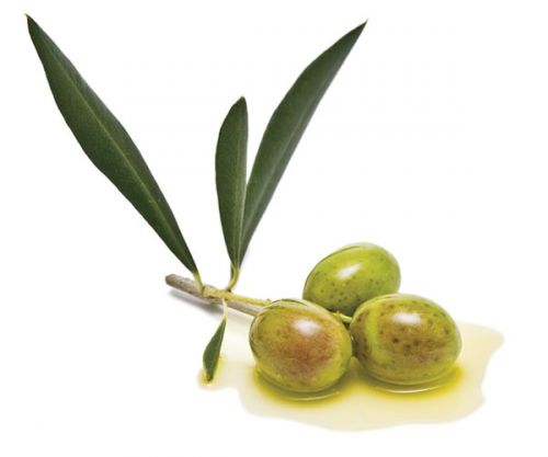 Athinolia Extra Virgin Olive Oil