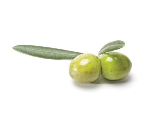Cobrancosa Extra Virgin Olive Oil