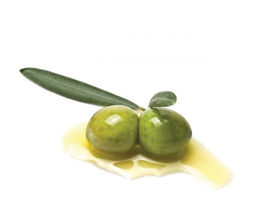 Manzanillo Extra Virgin Olive Oil