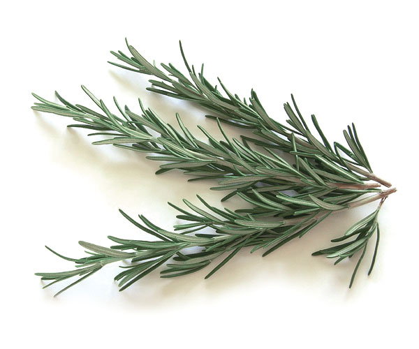 Whole Herb Rosemary Olive Oil
