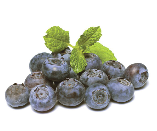 blueberry dark balsamic vinegar